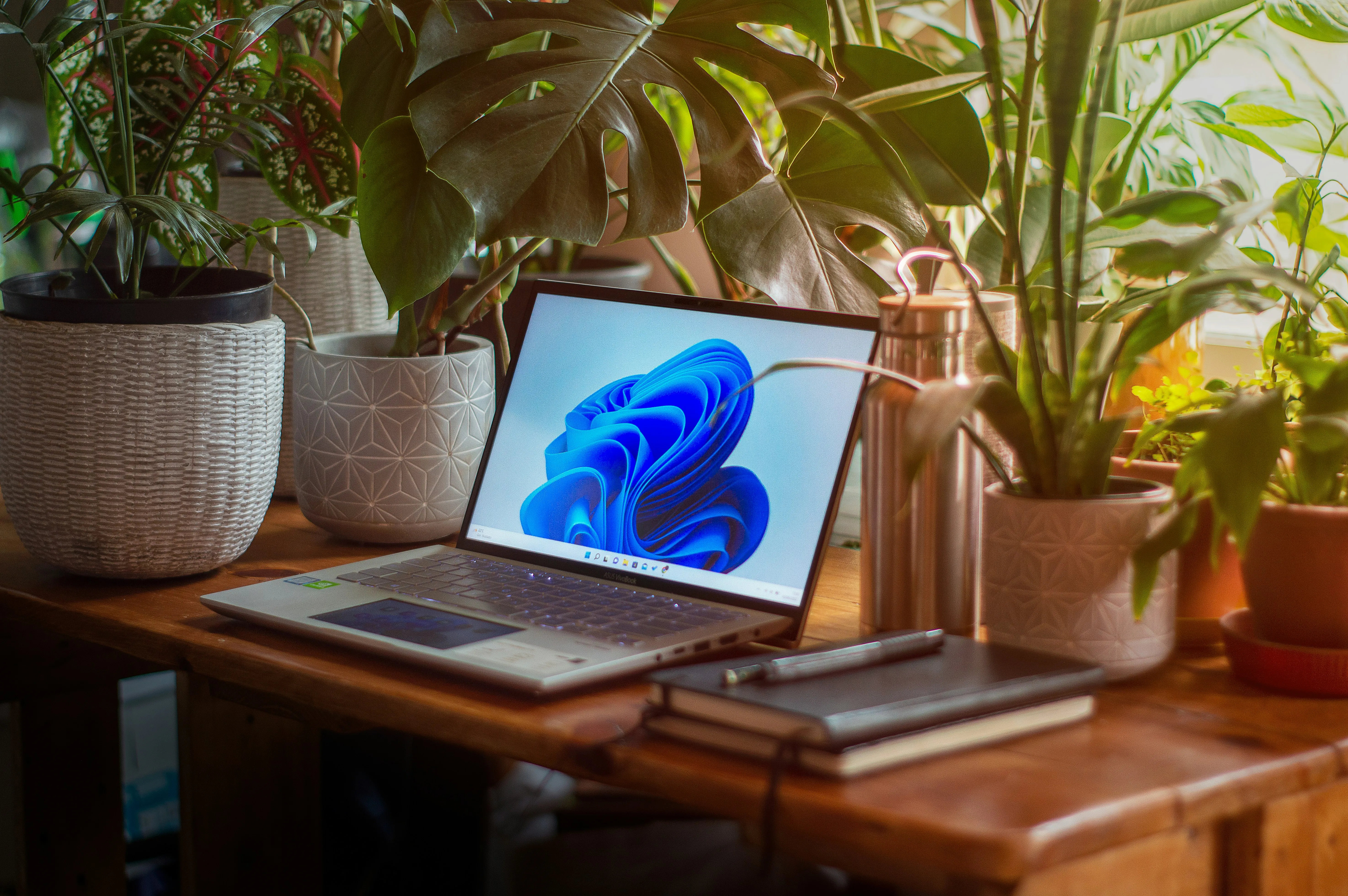 picture of a desk surronded by plants